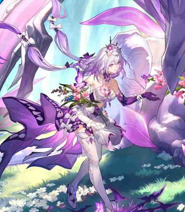 崩坏星穹铁道遐蝶配队方案