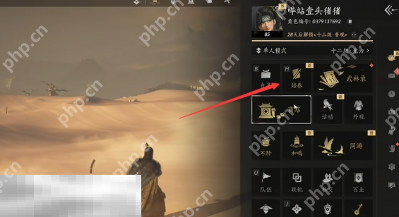 燕云十六声箫吟千浪音乐怎么自定义 奇术箫吟千浪自定义音乐方法