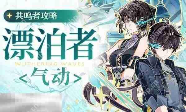 鸣潮2.2版本漂泊者气动值得培养吗 角色简评培养建议