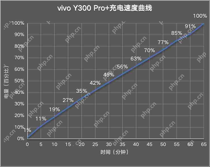 vivo Y300 Pro+评测：同档续航最强？
