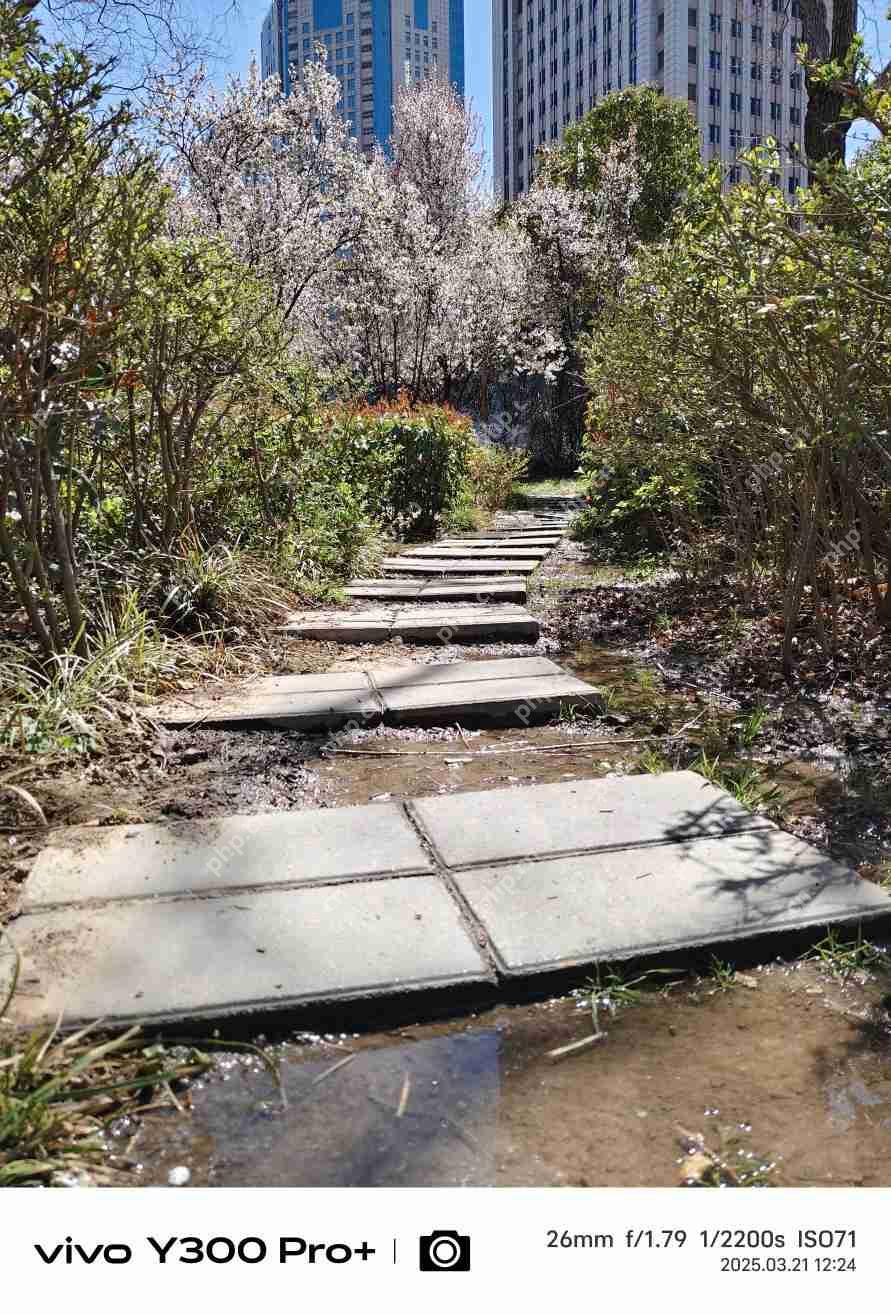 vivo Y300 Pro+评测：同档续航最强？