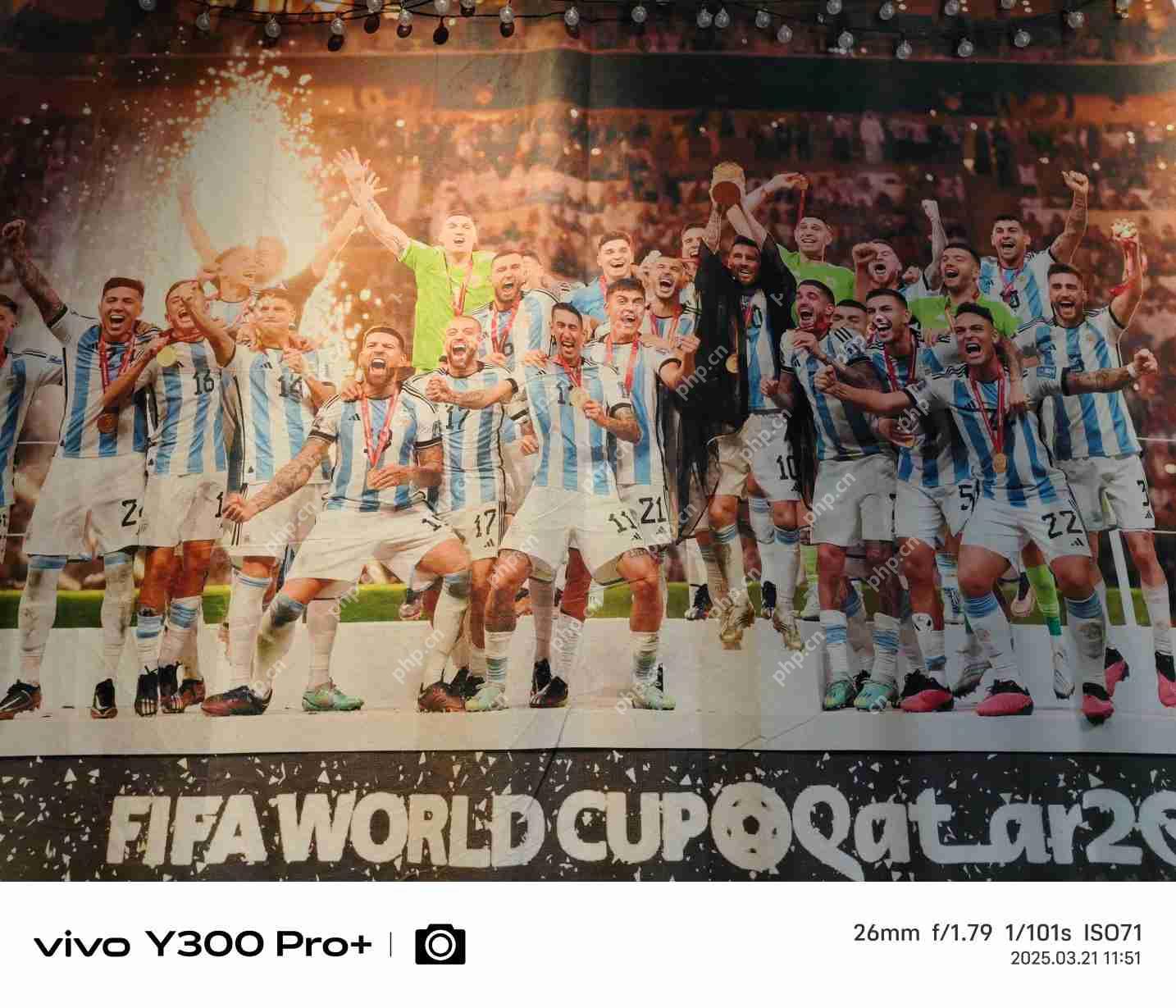 vivo Y300 Pro+评测：同档续航最强？