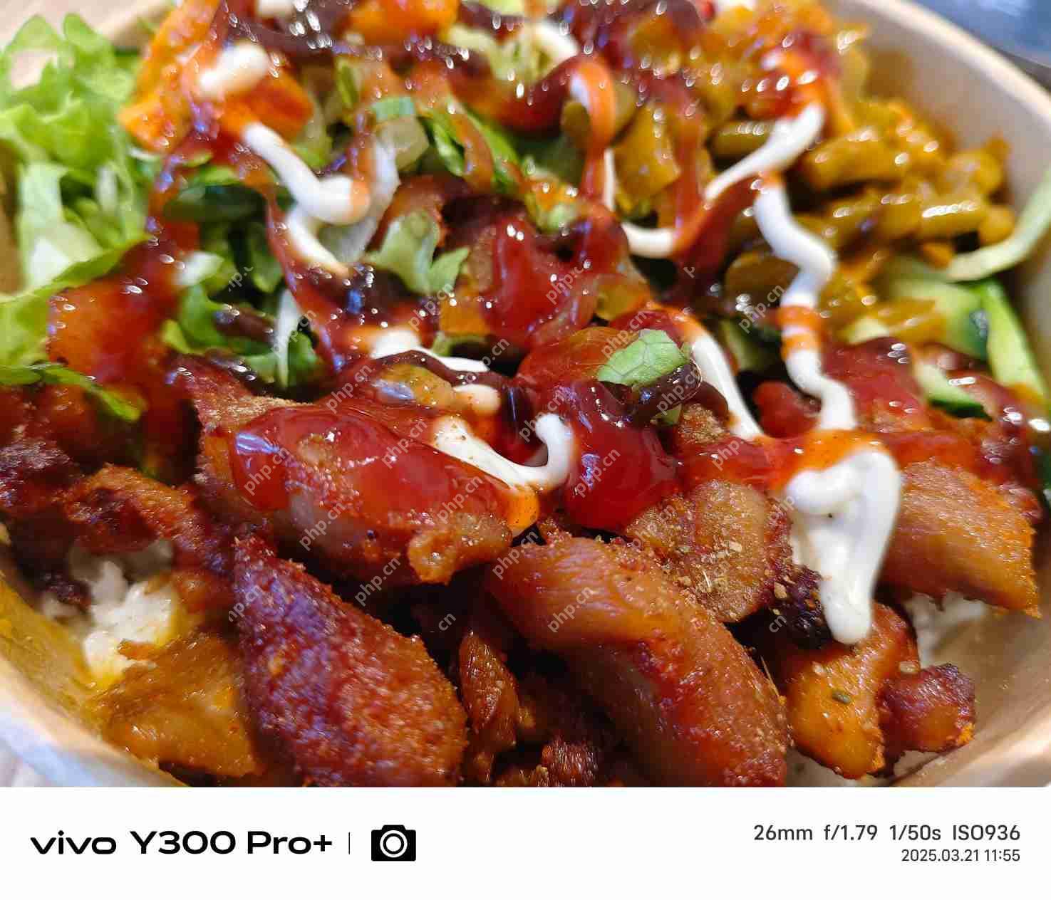 vivo Y300 Pro+评测：同档续航最强？