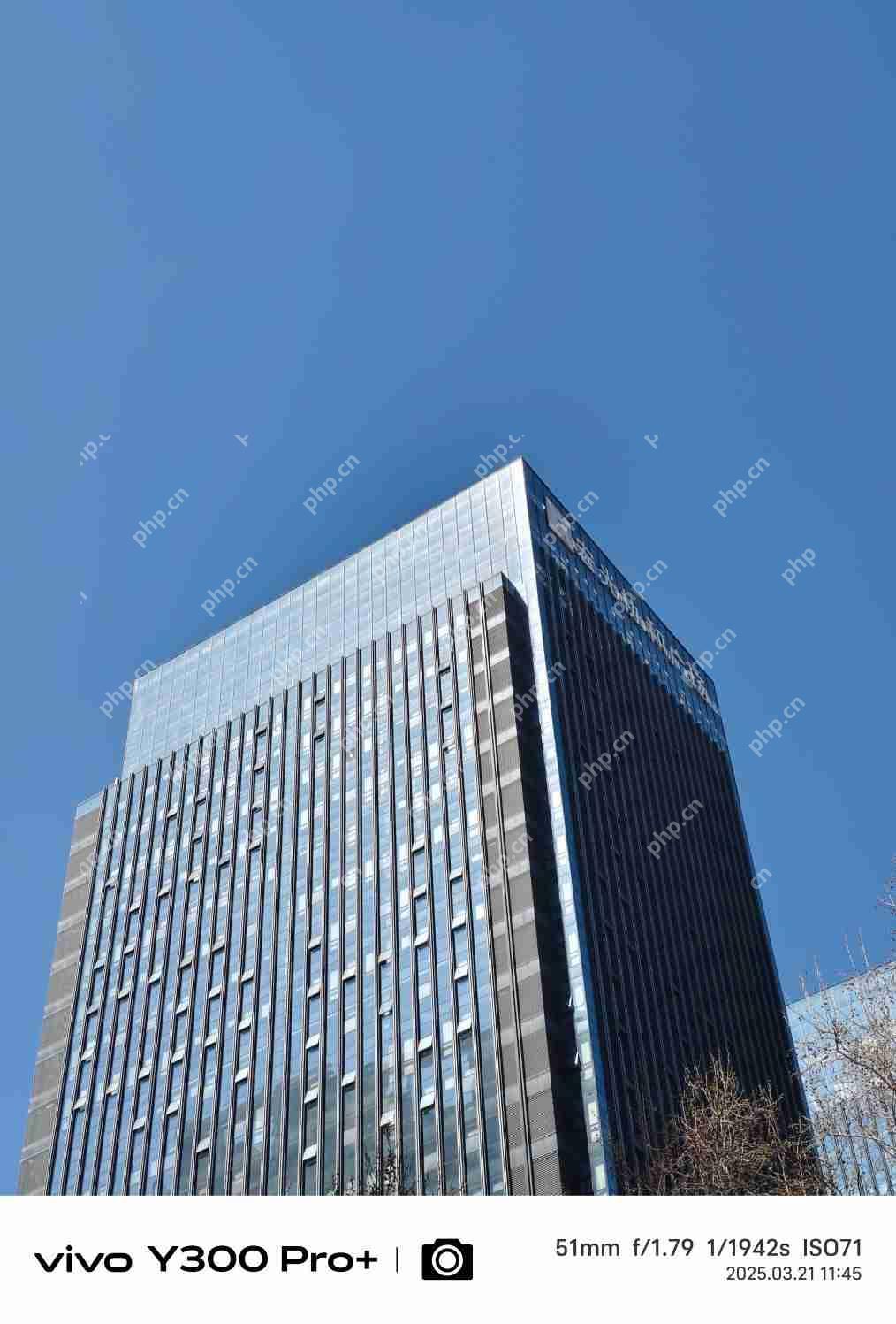 vivo Y300 Pro+评测：同档续航最强？