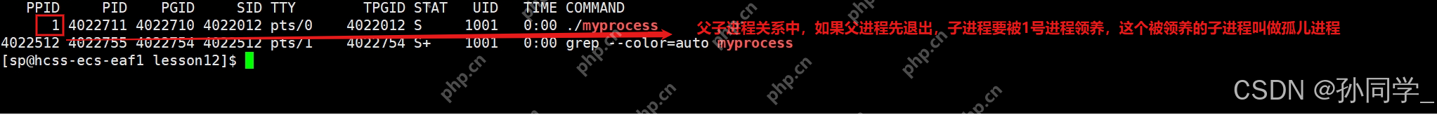 【Linux篇】进程状态（僵尸进程，孤儿进程），优先级与调度机制