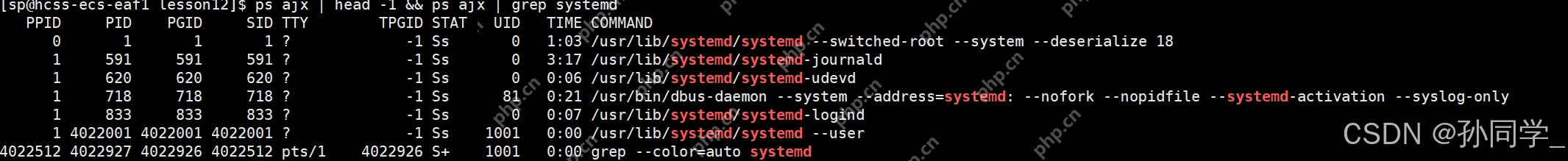 【Linux篇】进程状态（僵尸进程，孤儿进程），优先级与调度机制