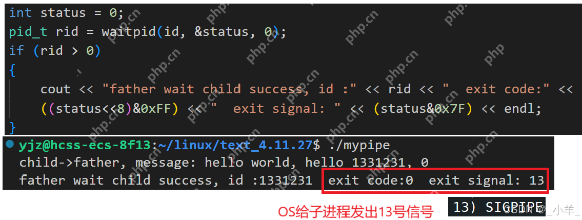 【Linux】IPC：匿名管道、命名管道、共享内存