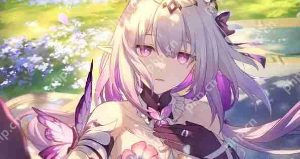 崩坏星穹铁道遐蝶速通配队 2命遐蝶/01遐蝶