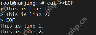 Linux 输入重定向和管道符号