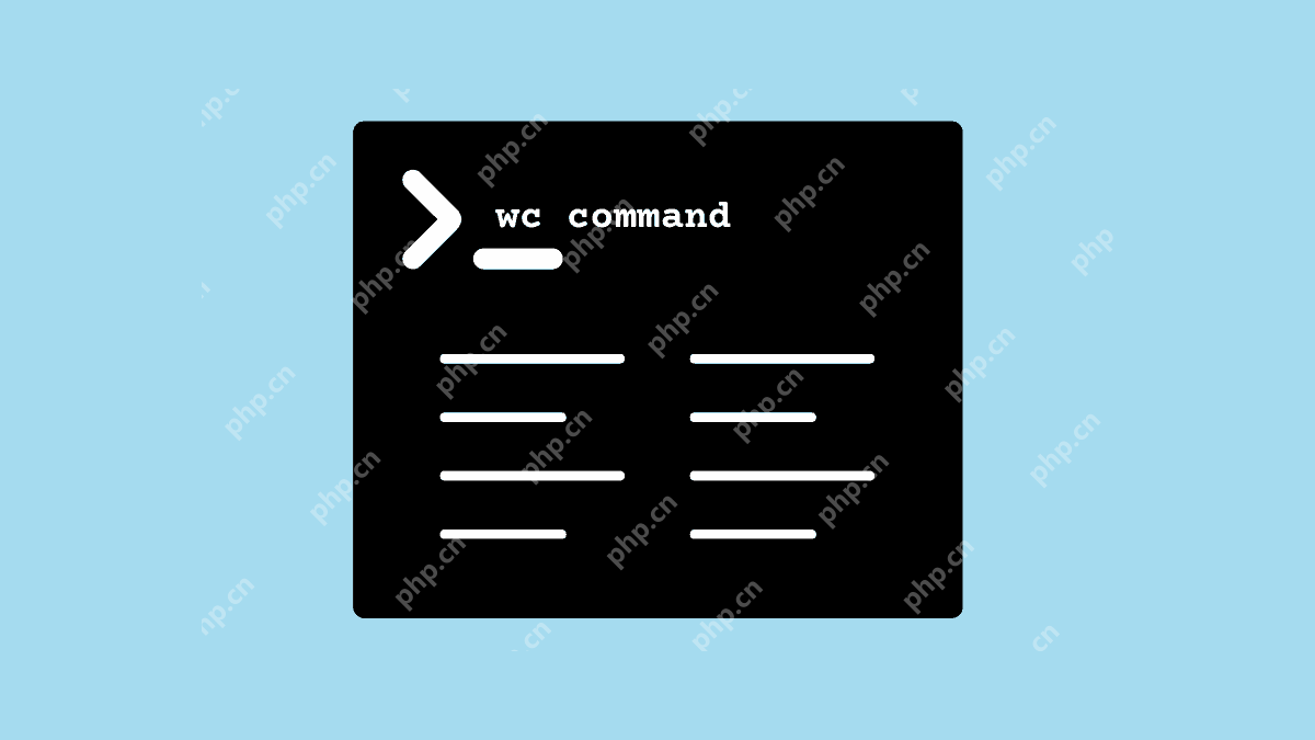 在Linux中如何使用`wc`命令进行字符统计？