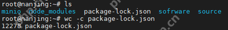 在Linux中如何使用`wc`命令进行字符统计？