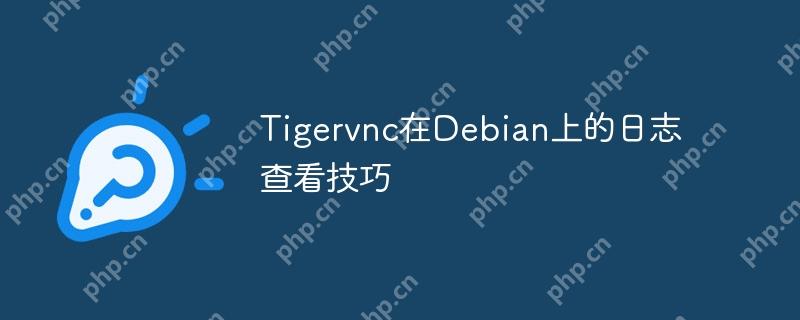 Tigervnc在Debian上的日志查看技巧