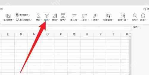 WPS怎么筛选出要的内容？WPS筛选设置方法