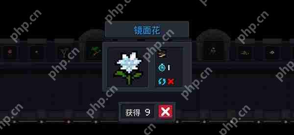 元气骑士天赋类种子大全