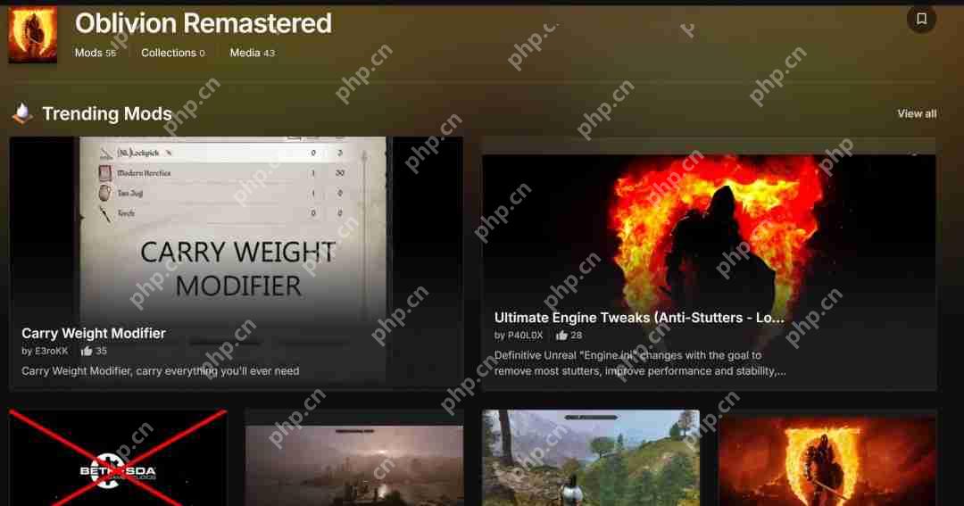 《上古卷轴4：湮灭重制版》官方称不支持MOD 但N网已有大量MOD出现