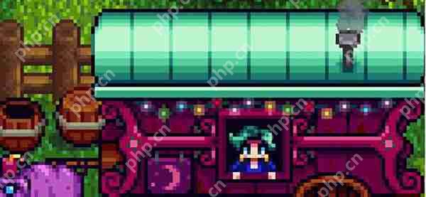 星露谷物语鹦鹉螺获取攻略