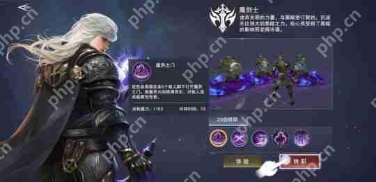 新神魔大陆魔剑士技能介绍