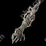 黑神话悟空武器介绍