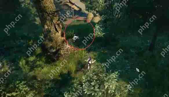 逆水寒手游茶摊上的江湖奇遇怎么做  逆水寒手游茶摊上的江湖奇遇攻略