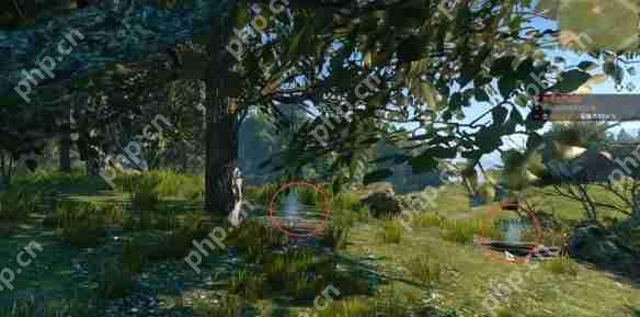 逆水寒手游茶摊上的江湖奇遇怎么做  逆水寒手游茶摊上的江湖奇遇攻略