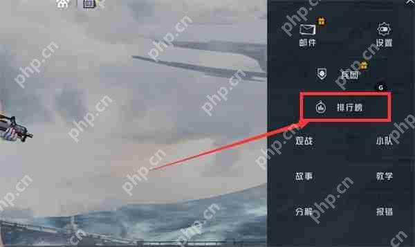 和平精英全服排名位置说明