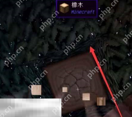 我的世界鲁伯特之泪怎么获得 鲁伯特之泪制作教程