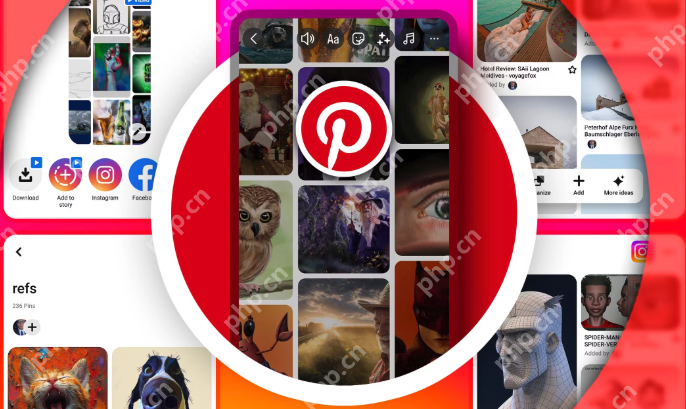 pinterest网站链接_pinterest免费网页版网站链接