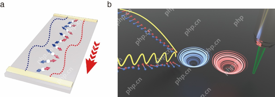 北航集成电路科学与工程学院在《Nature Physics》发表磁子学研究重要进展