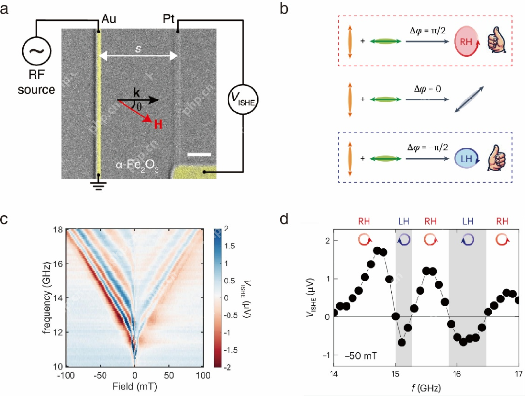 北航集成电路科学与工程学院在《Nature Physics》发表磁子学研究重要进展