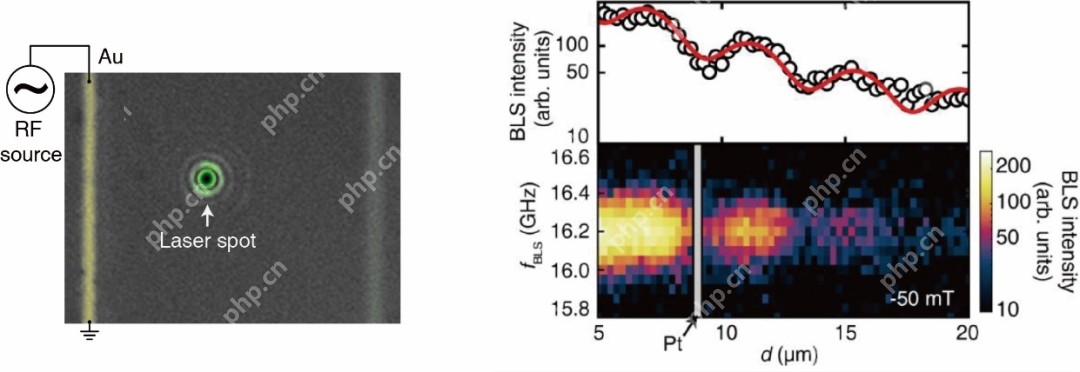 北航集成电路科学与工程学院在《Nature Physics》发表磁子学研究重要进展