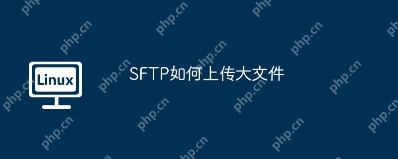 SFTP如何上传大文件