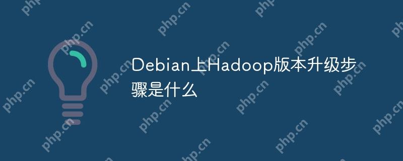 Debian上Hadoop版本升级步骤是什么