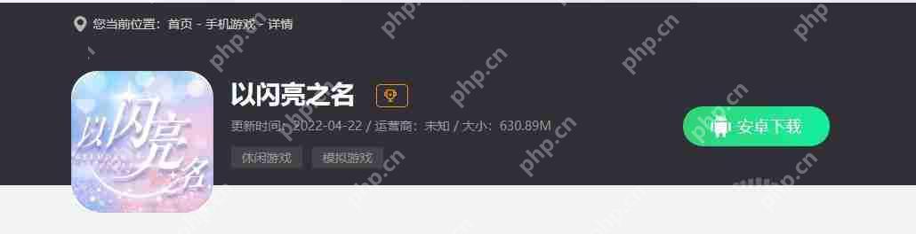 以闪亮之名什么时候公测-公测时间分享