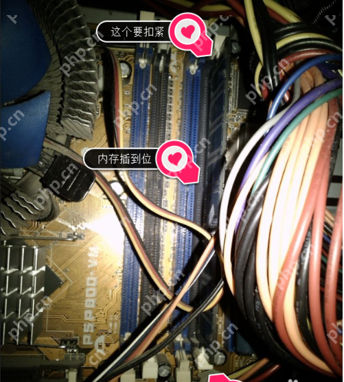 显示器无信号,详细教您电脑显示屏不显示怎么修复