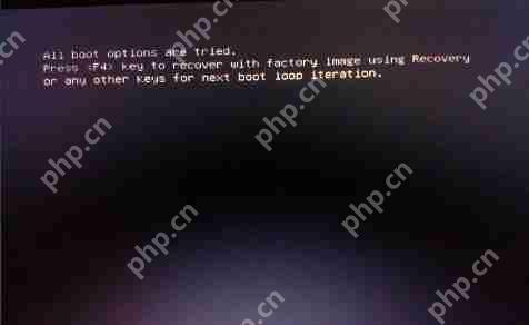 U盘装系统后提示“All boot options are tried”