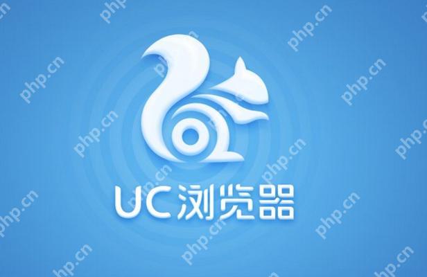 手机uc浏览器的缓存视频怎么导出