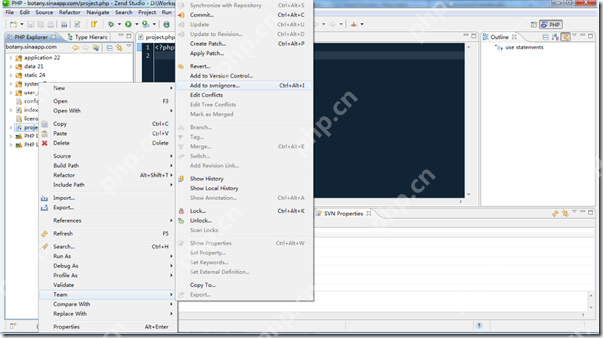ZendStudio中设置SVN:ignore
