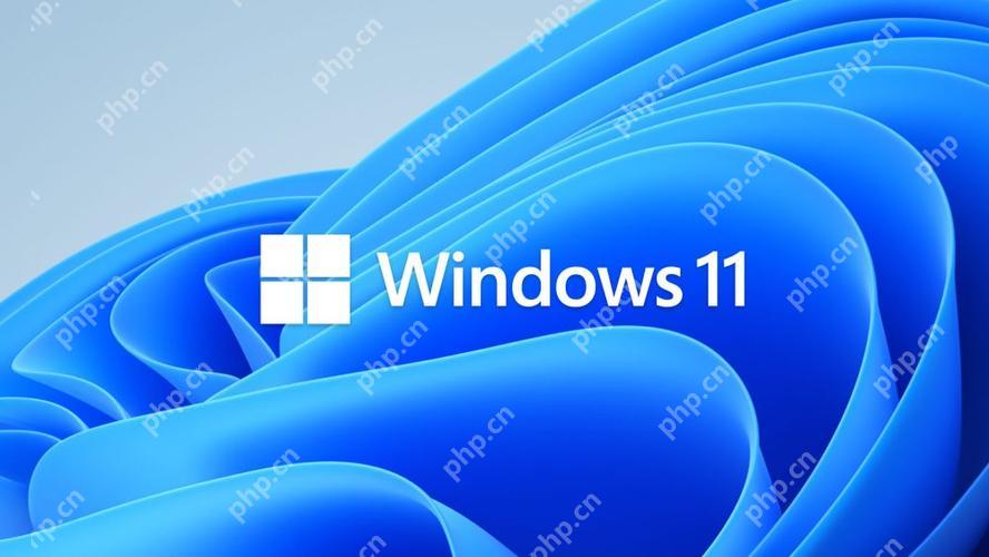 win11怎么滚动截长图 win11滚动截长图详细步骤