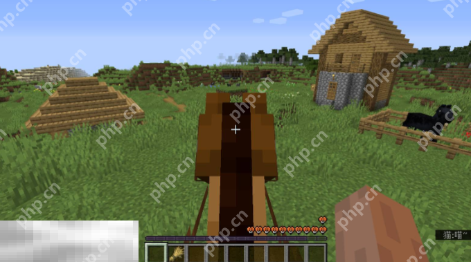 我的世界怎么骑马 马匹驯服方法介绍