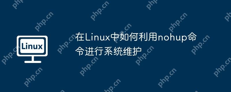 在Linux中如何利用nohup命令进行系统维护