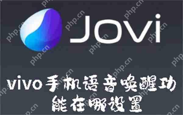 vivo手机语音唤醒功能在哪设置