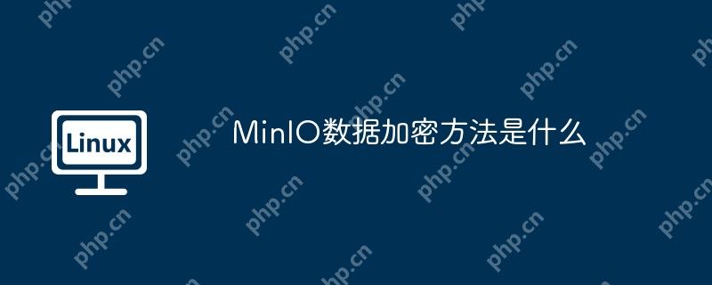 MinIO数据加密方法是什么