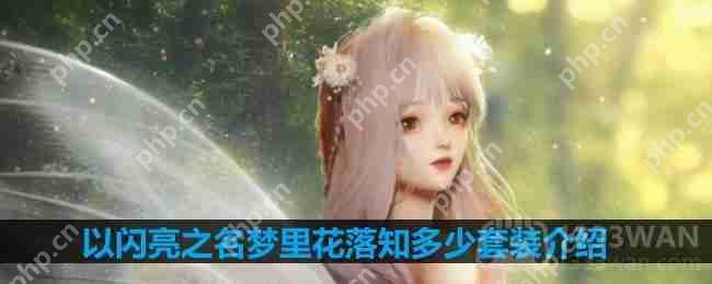 以闪亮之名梦里花落知多少套装介绍-梦里花落知多少细节展示