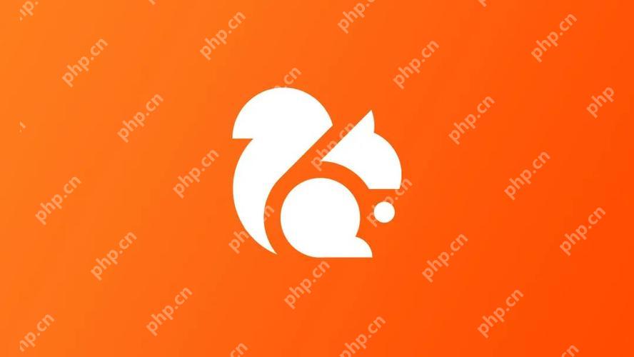 UC浏览器缓存视频转MP3
