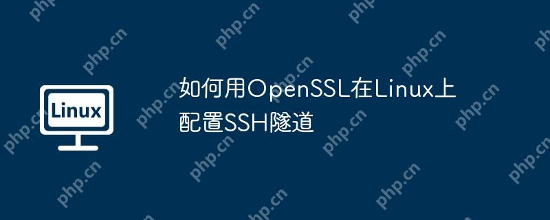 如何用OpenSSL在Linux上配置SSH隧道