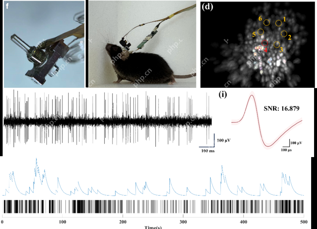 半导体所在植入式脑机接口器件研究方面取得新进展