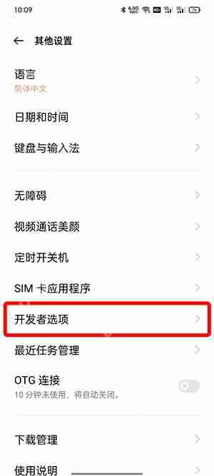 开发者选项在哪里打开
