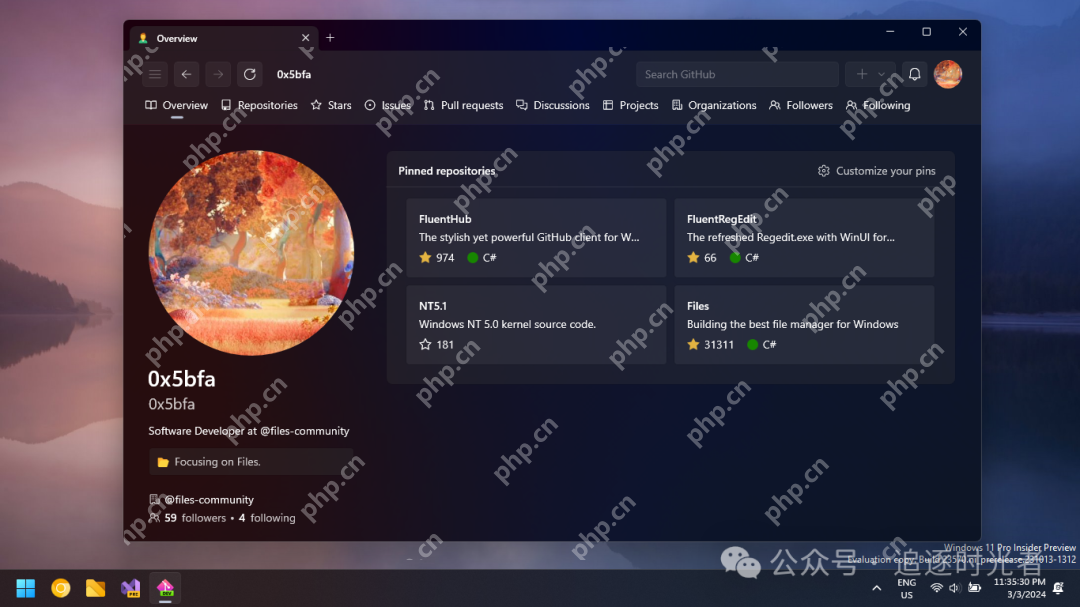 一个免费、时尚、强大的 Windows GitHub 客户端
