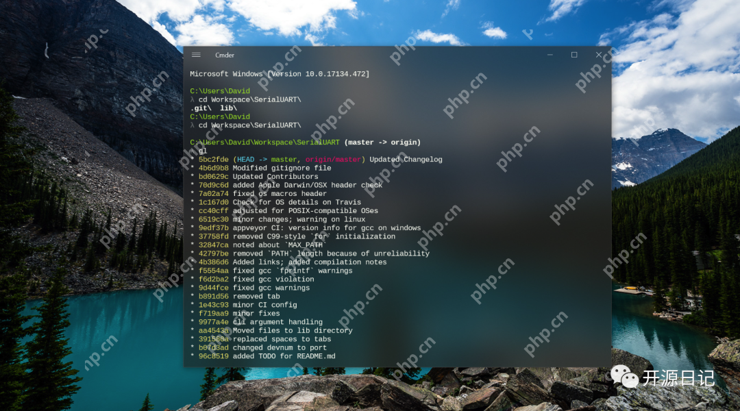 24.9K Star开源项目:打造高效命令行体验的利器,几年前我天天用,Windows必备