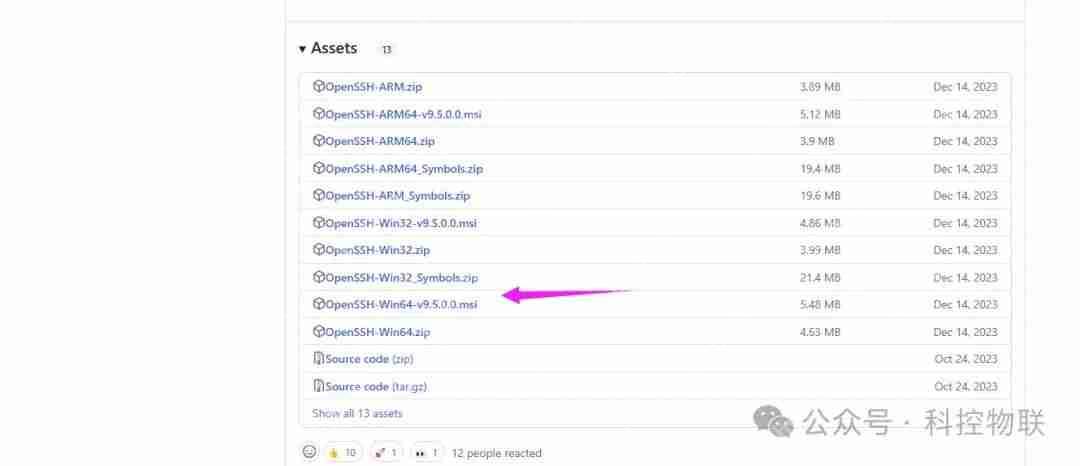 [教程] Windows Server 2022 系统开启Ssh Server服务
